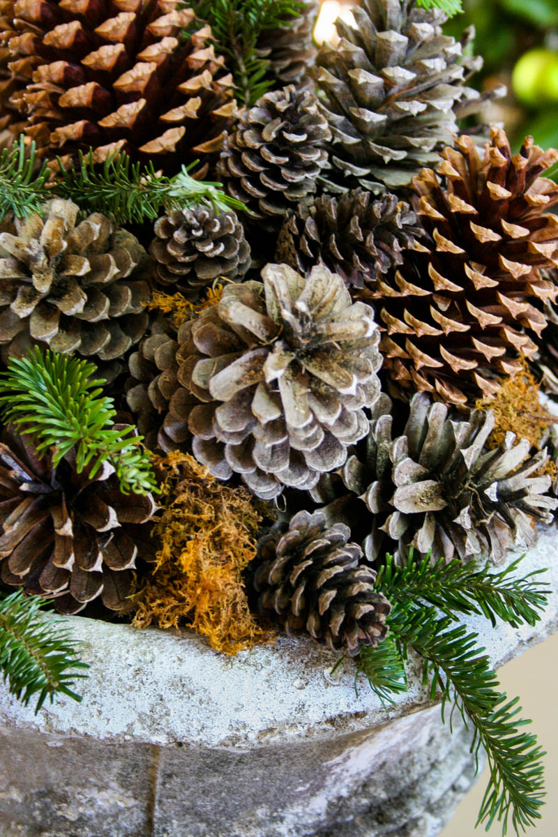 Pine Cone Planter