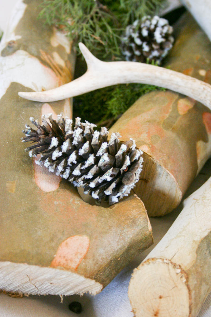 Birch Display