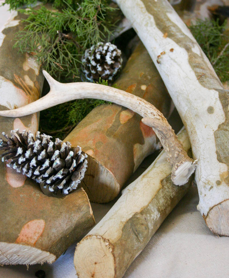 Birch Display