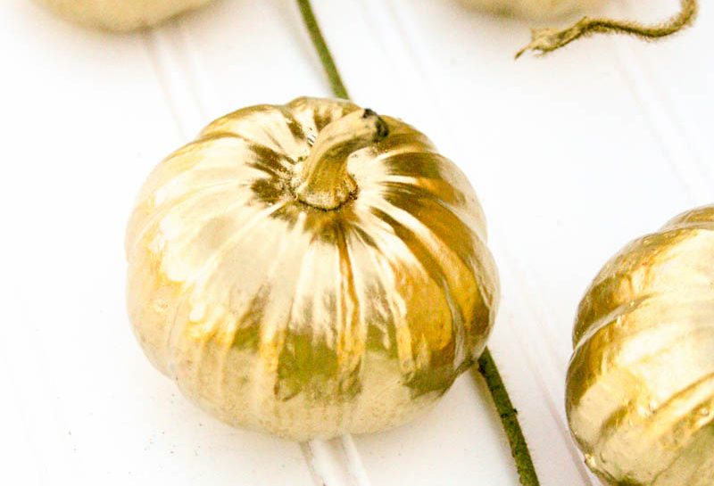 Gilded Pumpkins