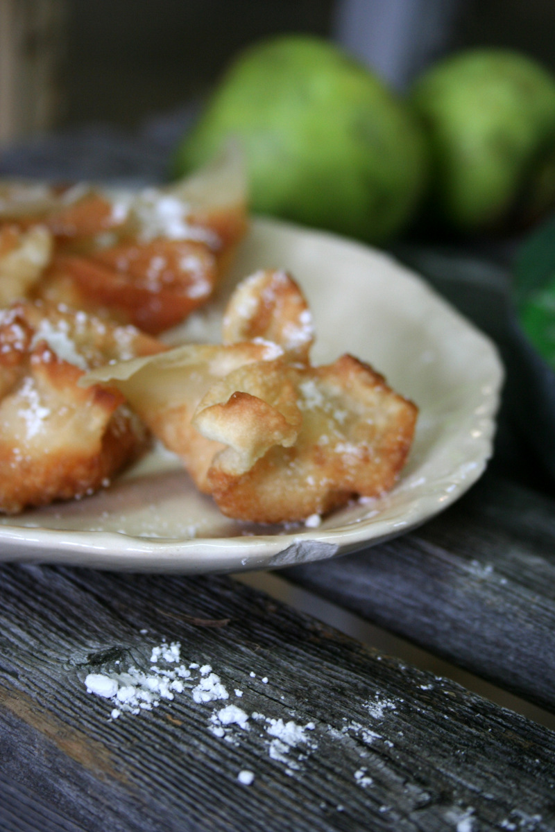 Apple Wontons