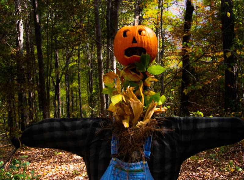 Scarecrows