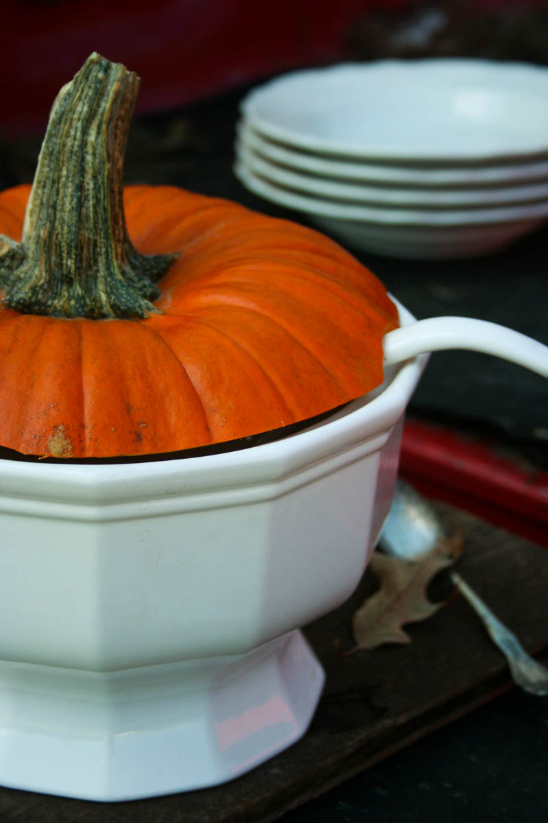 Soup Tureen