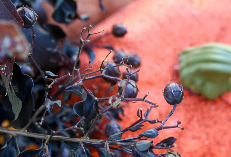 Halloween Tablescape